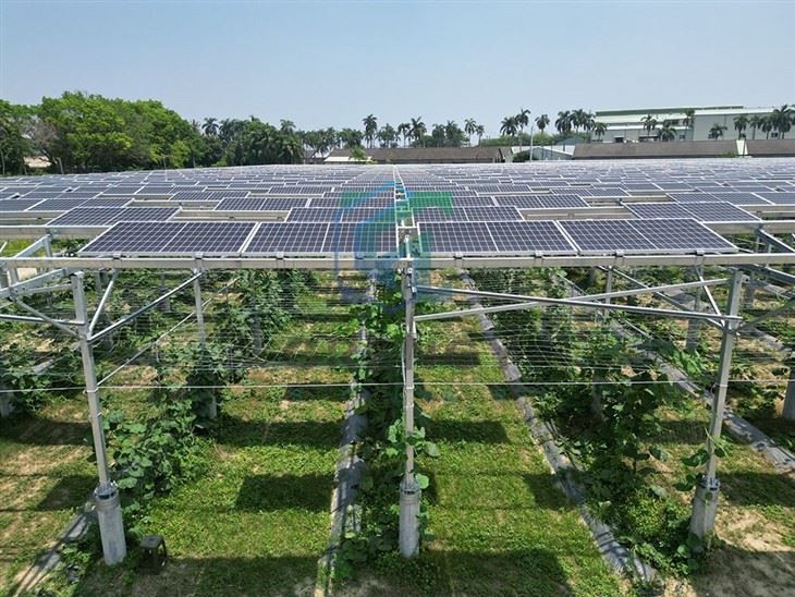Agriculture Solar Farm Mounting Racking Structure